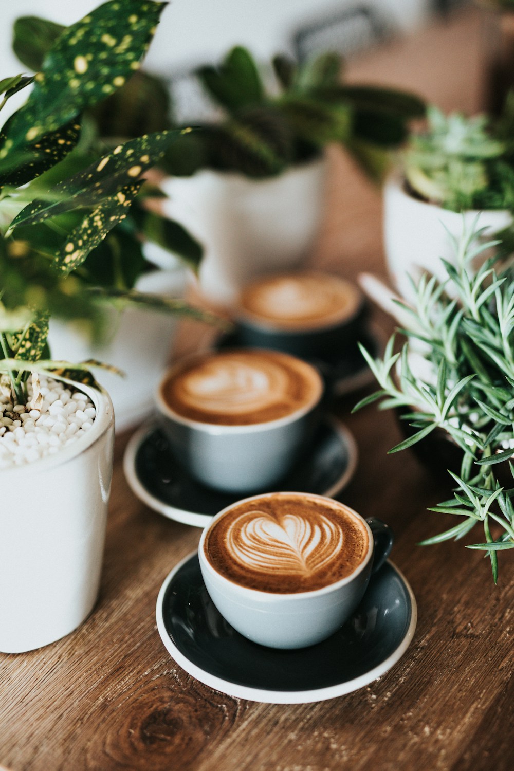 Hot Drinks
